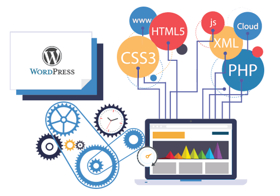 Best Website Designing Company